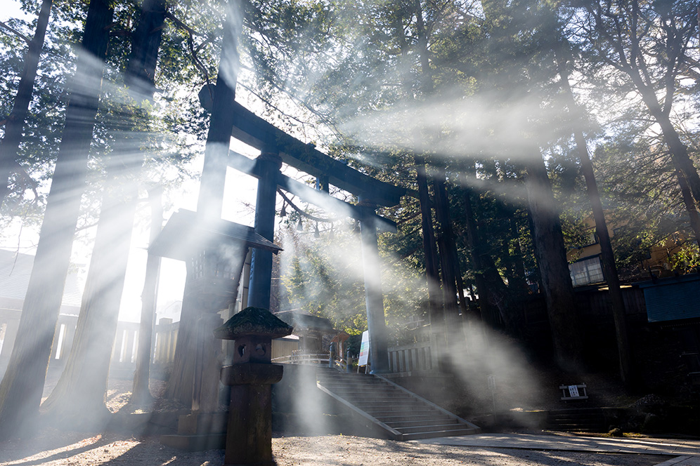 諏訪大社 下社春宮
