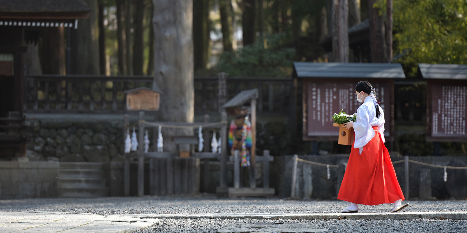 諏訪大社 結婚式 巫女