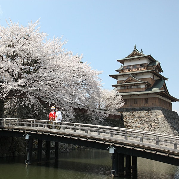 結婚式　相談　前撮り　桜の下